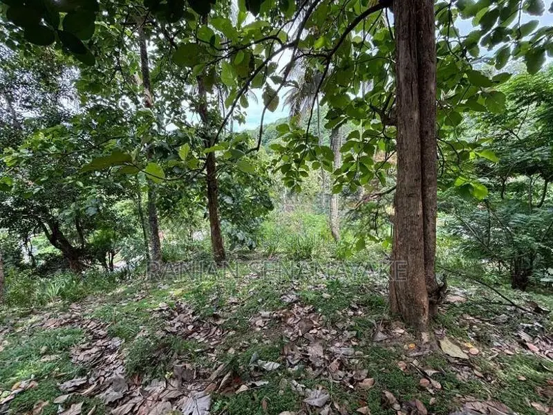 මහනුවර - මහියංගන ප්‍රධාන මාර්ගයට මුහුනලා, උඩතැන්න මැදමහනුවර බිම් කොටසක