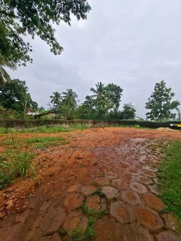 Land for Sale in Dambulla