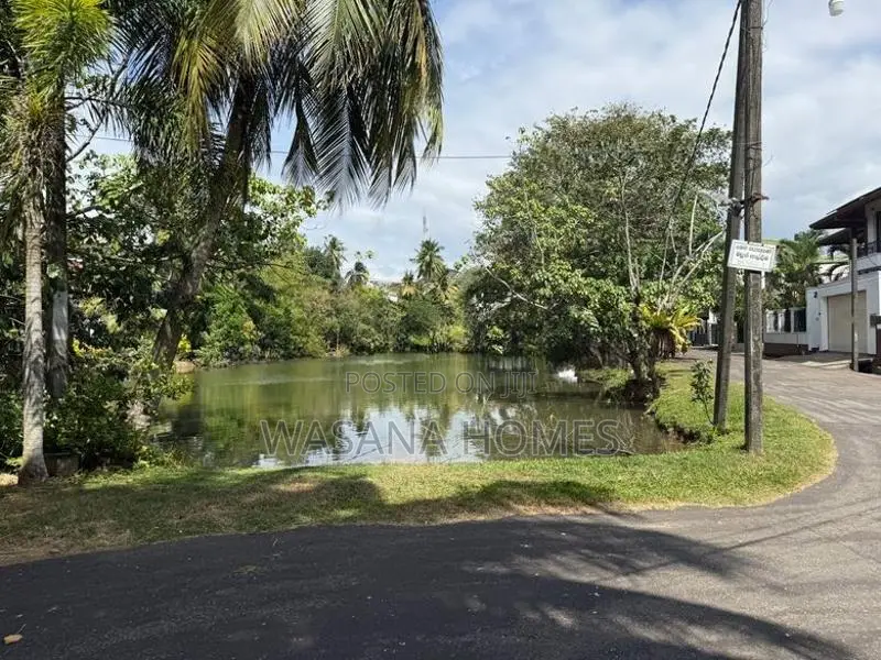 Neat Land for Sale Talawathugoda