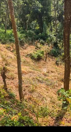 Land for Sale, Hedeniya Katugastota
