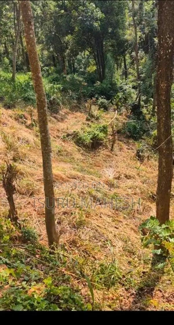 Land for Sale, Hedeniya Katugastota