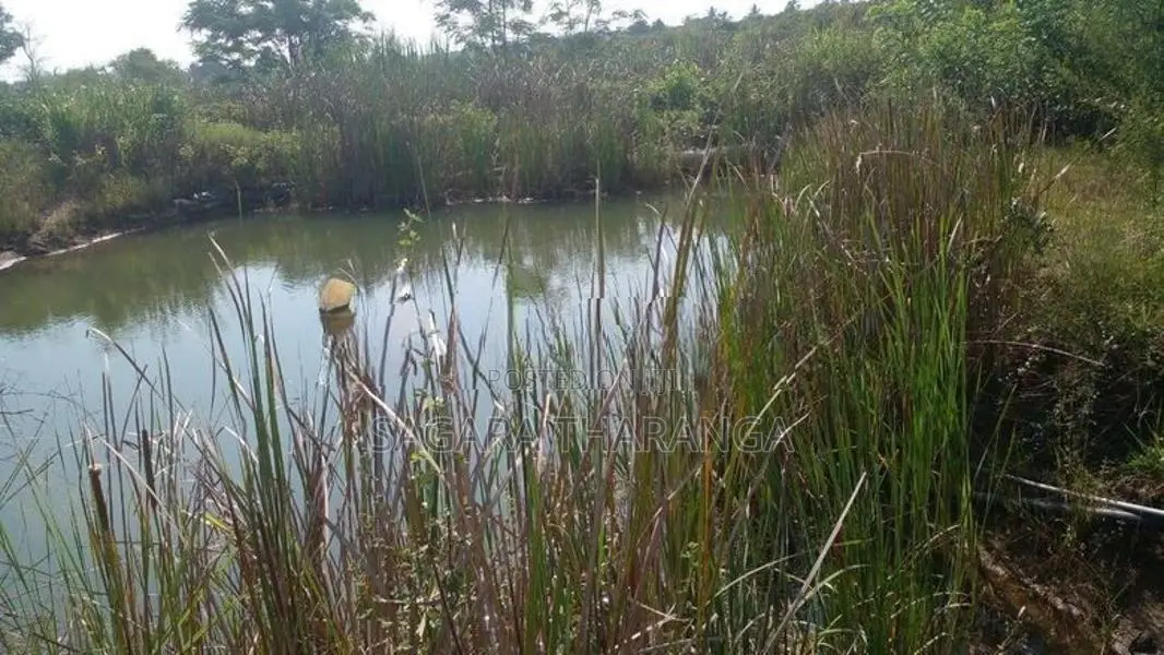 Sewanagala Land for Sale