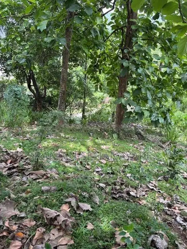 මහනුවර - මහියංගන ප්‍රධාන මාර්ගයට මුහුනලා, උඩතැන්න මැදමහනුවර බිම් කොටසක