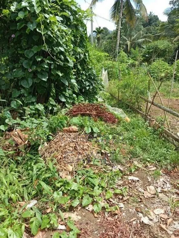 Kandy Land Sale