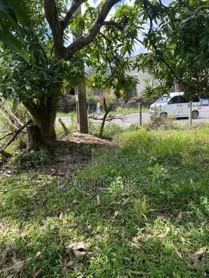 Kurunegala Land for Rent