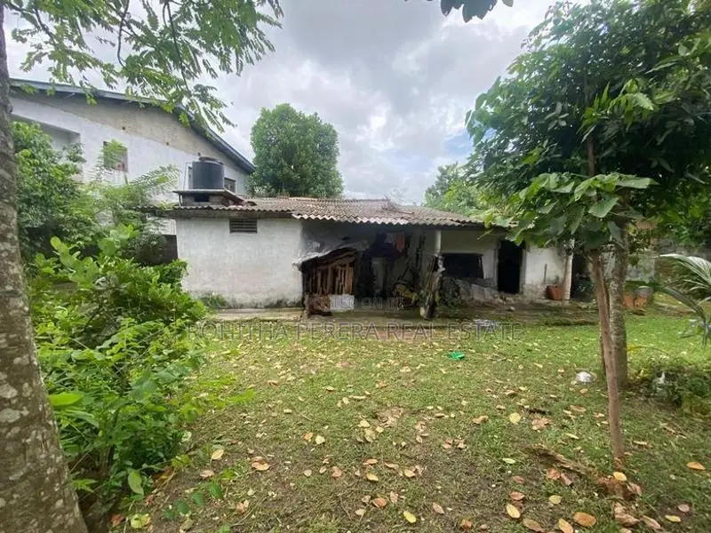 31 P solid Block Of Land At Arrawwala Bkundara Rd Niwanthidiya