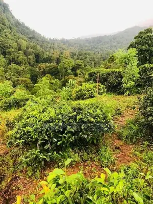 Kithulgala -Kalugala, 157 Perches Land for Sale (sspl-387)