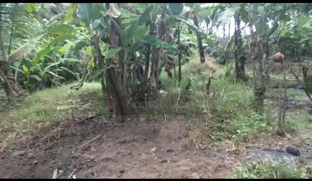 Land with Home Sale Polonnaruwa