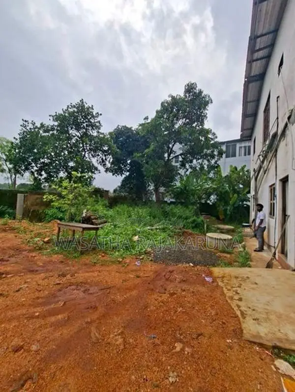 Land for Sale in Dambulla
