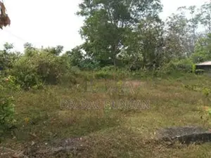 ගොනපොල නගරයෙන් අගනා ඉඩමක්