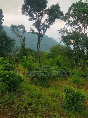 Kithulgala -Kalugala, 157 Perches Land for Sale (sspl-387)