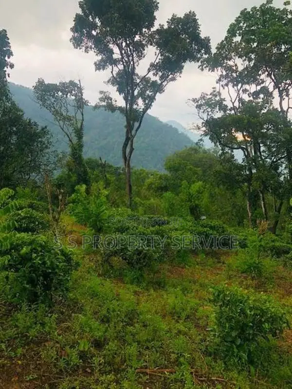 Kithulgala -Kalugala, 157 Perches Land for Sale (sspl-387)