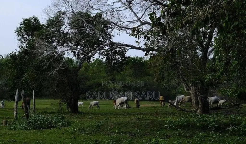 Land for Sale Batticaloa