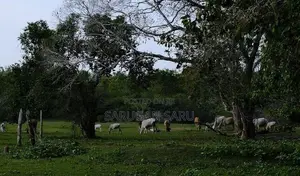 Land for Sale Batticaloa