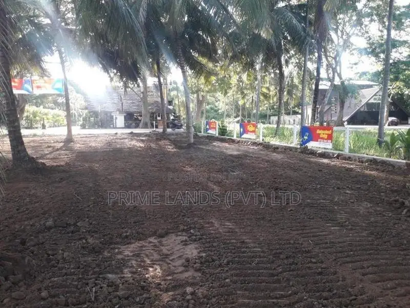 අනුරාධපුර බස් පාරින් ඉඩමක්