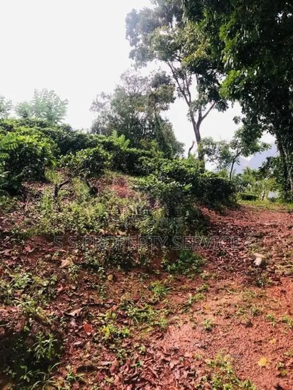 Kithulgala -Kalugala, 157 Perches Land for Sale (sspl-387)