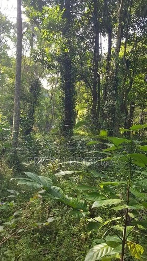 Kandy, Teldeniya 01 Acre of Land for Sale