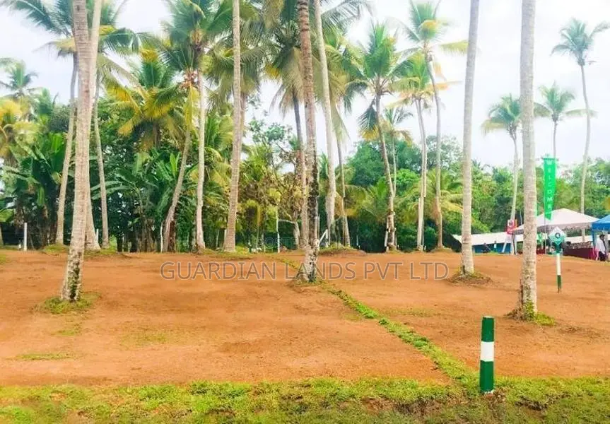 Land for Sale in Kubuka