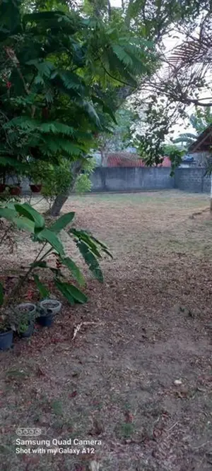 Prime Main Road Property for Sale in Wattala – 51 Perches