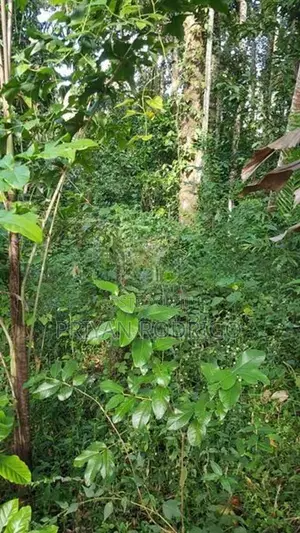 Kandy, Teldeniya 01 Acre of Land for Sale