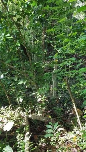 Kandy, Teldeniya 01 Acre of Land for Sale