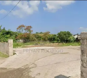 Colombo 14 - Sirimavo Bandaranayake Mawatha 63 Perches of Land for Sal