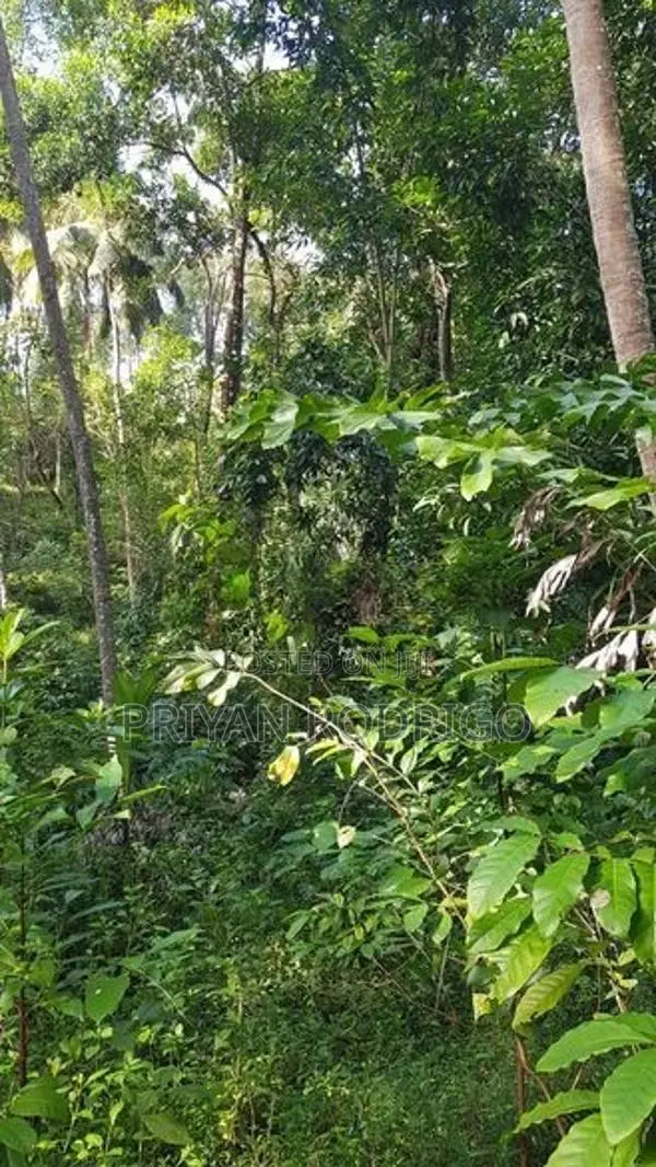 Kandy, Teldeniya 01 Acre of Land for Sale