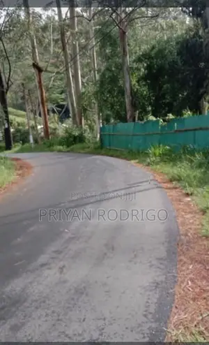 Beautiful 97 Perches of Land Bordering Castlereagh Reservoir for Sale