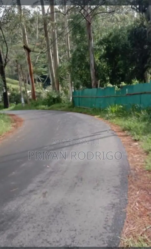 Beautiful 97 Perches of Land Bordering Castlereagh Reservoir for Sale