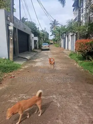Boralesgamuwa Gangarama Rd 11 Perch Rectangular Block of Land for Sale