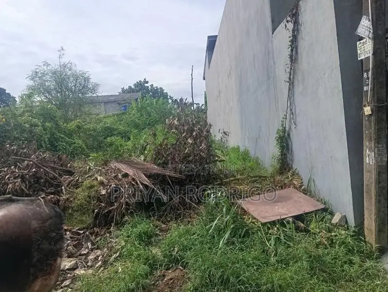 Boralesgamuwa Gangarama Rd 11 Perch Rectangular Block of Land for Sale