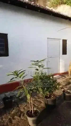 Room for Working Boys Galle