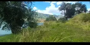 Beautiful 97 Perches of Land Bordering Castlereagh Reservoir for Sale
