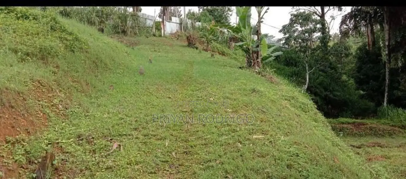 Beautiful 97 Perches of Land Bordering Castlereagh Reservoir for Sale