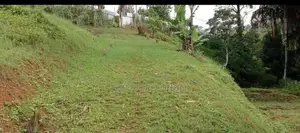 Beautiful 97 Perches of Land Bordering Castlereagh Reservoir for Sale