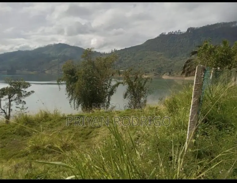 Beautiful 97 Perches of Land Bordering Castlereagh Reservoir for Sale