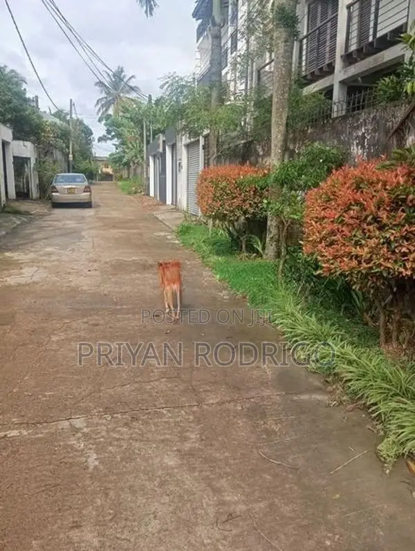 Boralesgamuwa Gangarama Rd 11 Perch Rectangular Block of Land for Sale