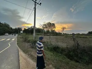 Land for Sale in Thanamalwila තණමල්විලින් අගනා ඉඩමක් වහාම විකිණීමට