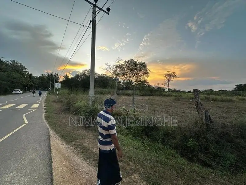Land for Sale in Thanamalwila තණමල්විලින් අගනා ඉඩමක් වහාම විකිණීමට