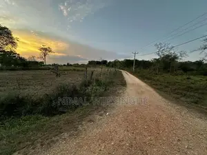 Land for Sale in Thanamalwila තණමල්විලින් අගනා ඉඩමක් වහාම විකිණීමට