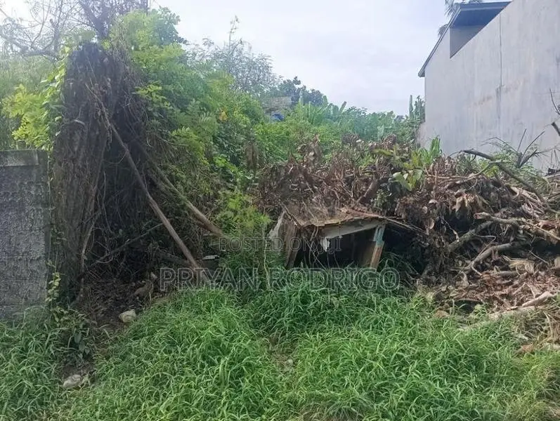 Boralesgamuwa Gangarama Rd 11 Perch Rectangular Block of Land for Sale