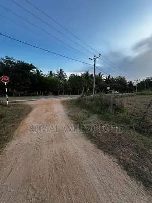Land for Sale in Thanamalwila තණමල්විලින් අගනා ඉඩමක් වහාම විකිණීමට
