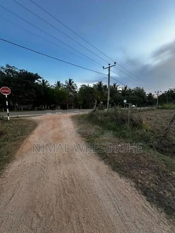 Land for Sale in Thanamalwila තණමල්විලින් අගනා ඉඩමක් වහාම විකිණීමට