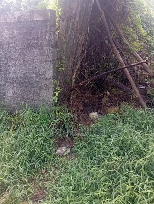 Boralesgamuwa Gangarama Rd 11 Perch Rectangular Block of Land for Sale