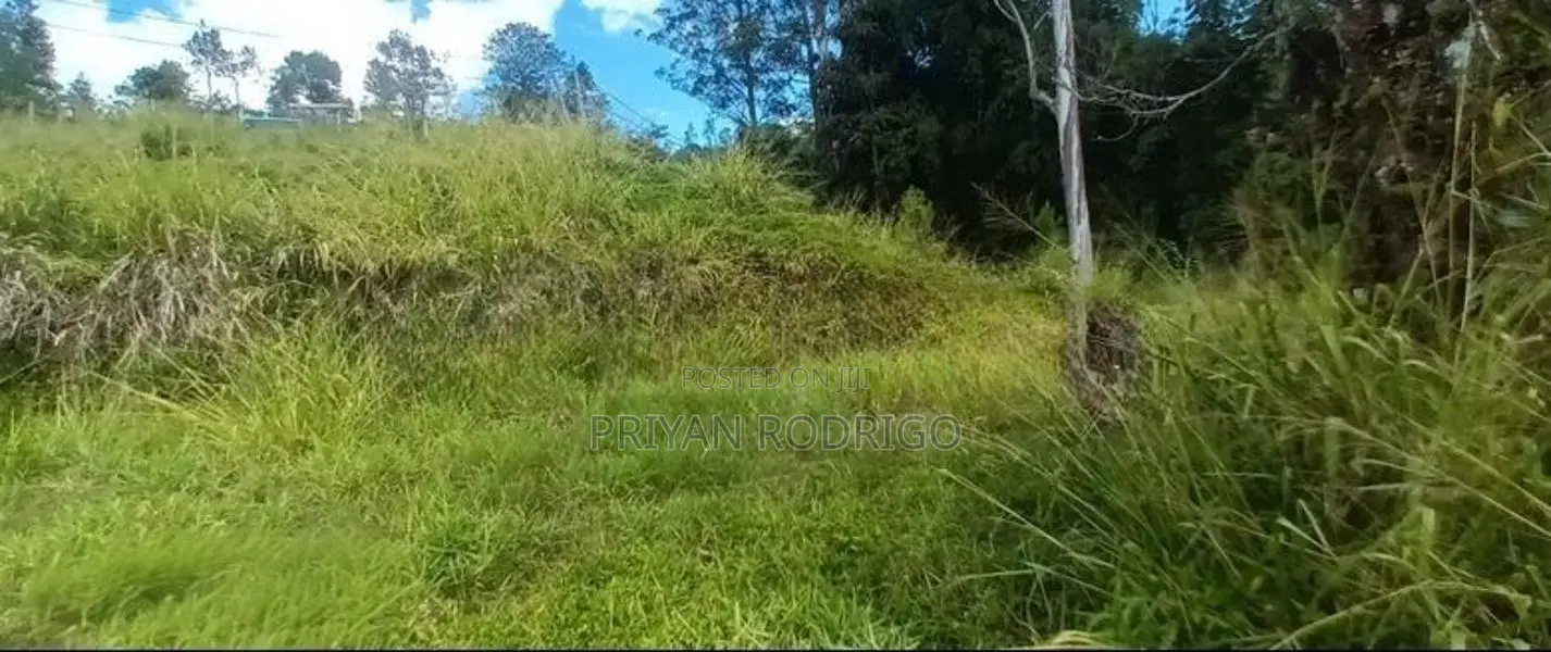 Beautiful 97 Perches of Land Bordering Castlereagh Reservoir for Sale