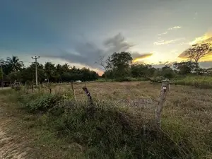 Land for Sale in Thanamalwila තණමල්විලින් අගනා ඉඩමක් වහාම විකිණීමට