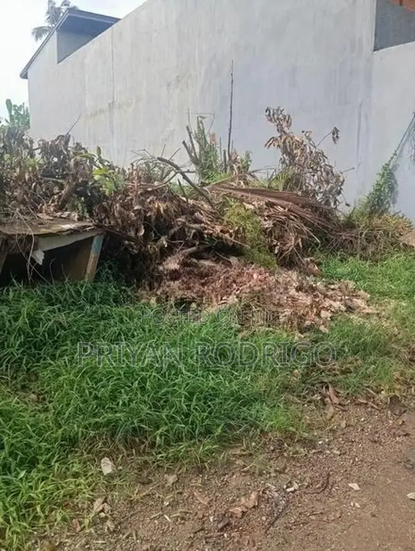 Boralesgamuwa Gangarama Rd 11 Perch Rectangular Block of Land for Sale