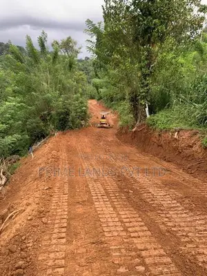 Land for Sale Pilimathalawa