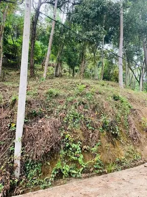 Land for Sale Nelundeniya