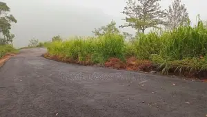 Land for Sale Pundaluoya